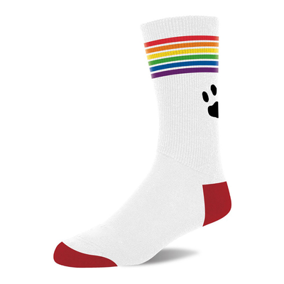 Pride Sokken – Wit/Pride