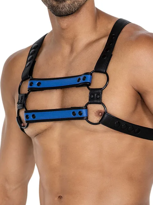 H4RNESS by C4M – 4WAY Harnas – Stralend Blauw